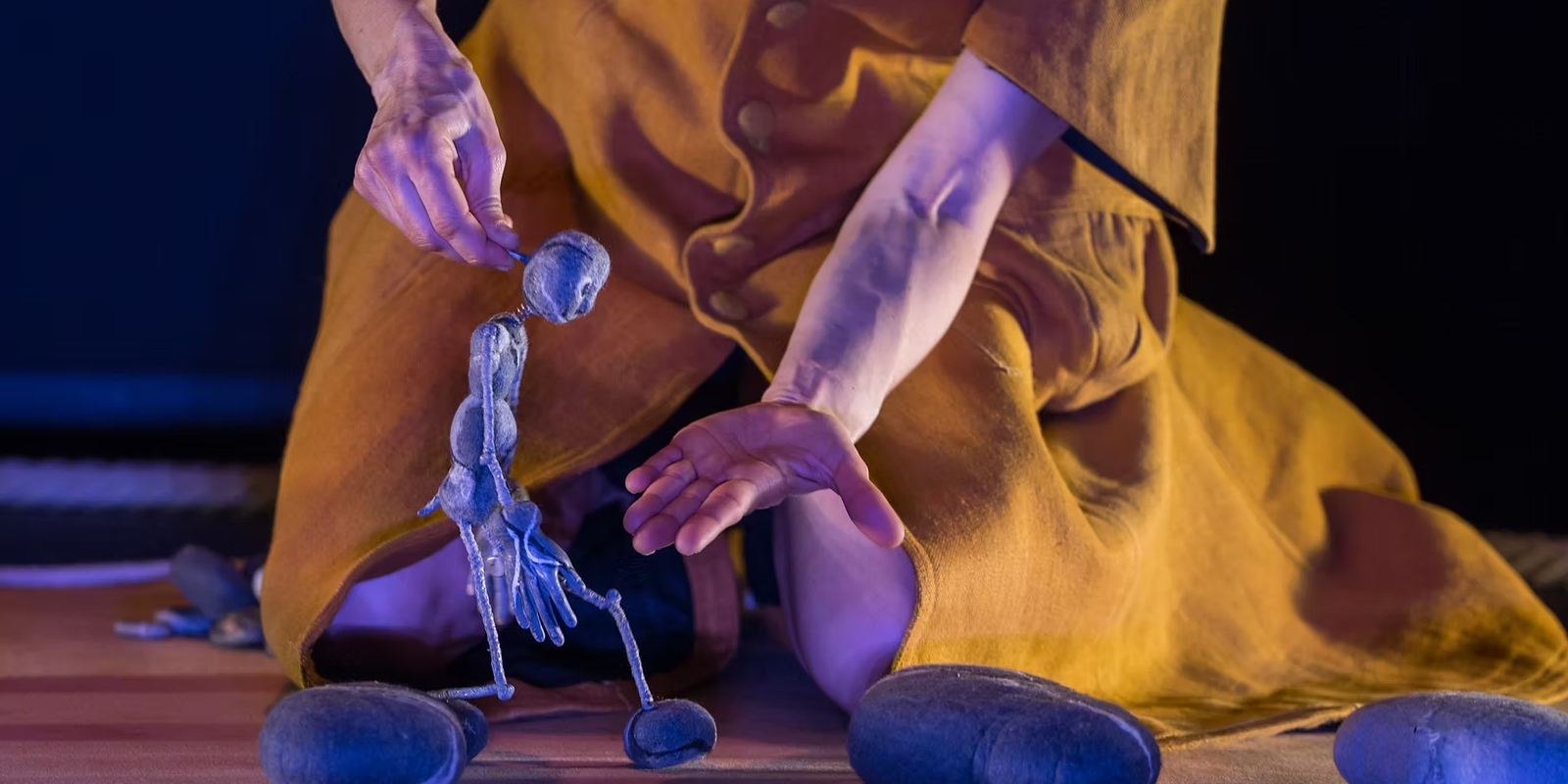 Cie Sous le sabot d'un cheval